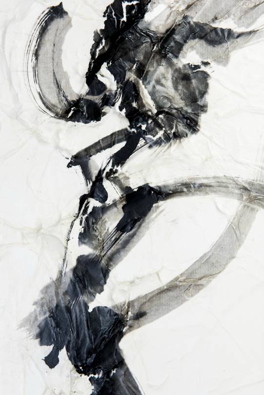 作家 テインシャンクワン タイトル「チャイニーズオペラ」シルク